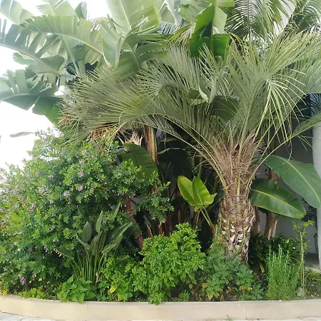 Apartment Garden View